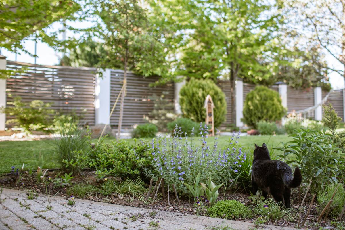 Close-up of properly installed garden landscaping gravel over geotextile fabric with crisp edging