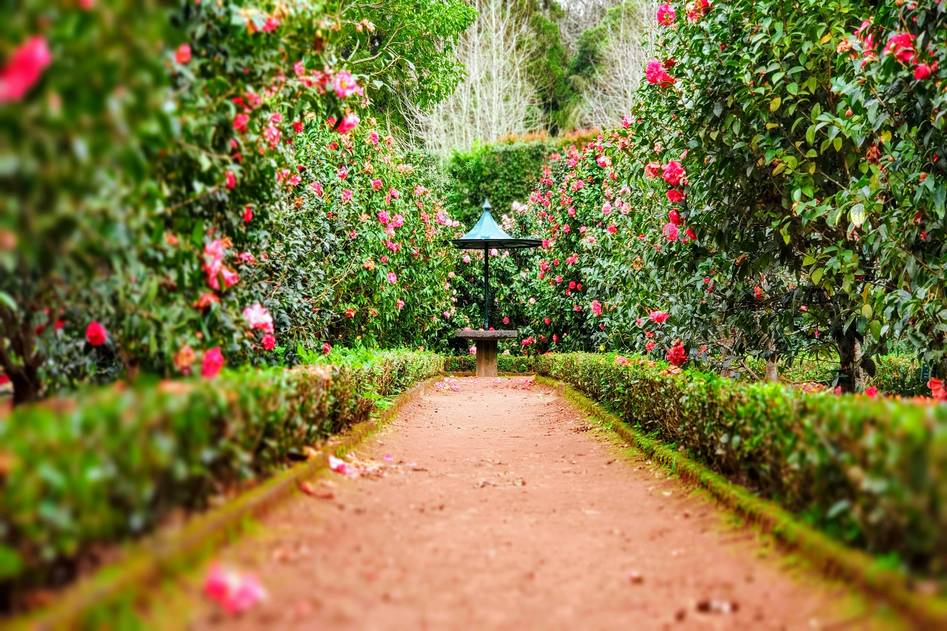 Homepage for Home Improvement Gardening & Outdoor Decor garden gravel