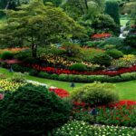 Outdoor Decor Garden Gravel What to Know Before You Buy