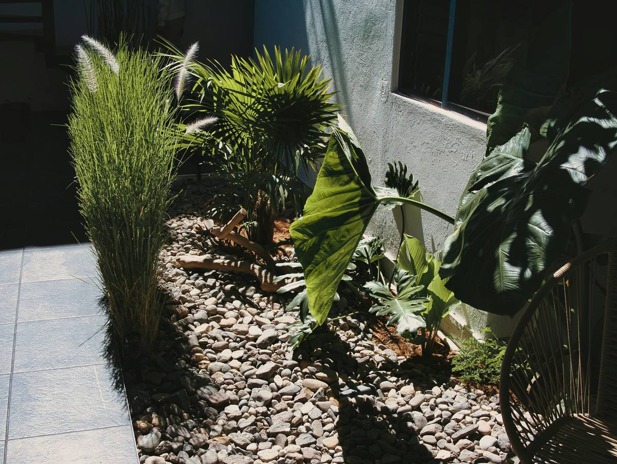Close-up of crushed granite gravel used in gravel ideas for small gardens with defined edging