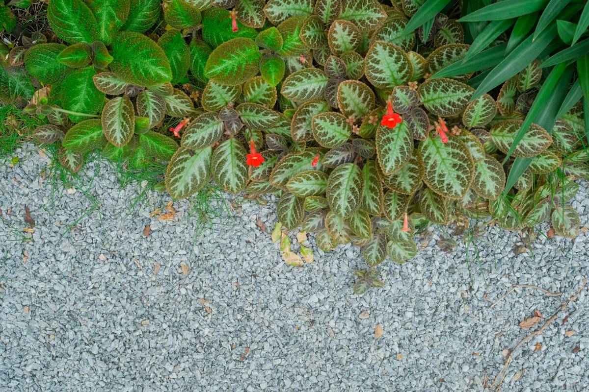 Top-down view of innovative gravel ideas for small gardens featuring mixed aggregates and integrated seating