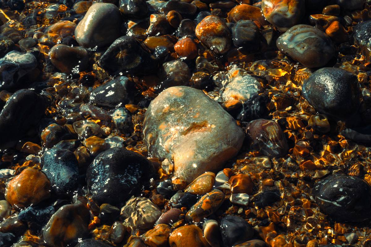 Close-up of golden gravel for garden spread evenly along a garden path with lush green borders