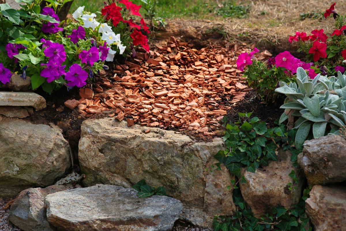 Close-up of well-installed garden gravel around drought-tolerant plants showing clean edges and proper drainage – is gravel good for gardens